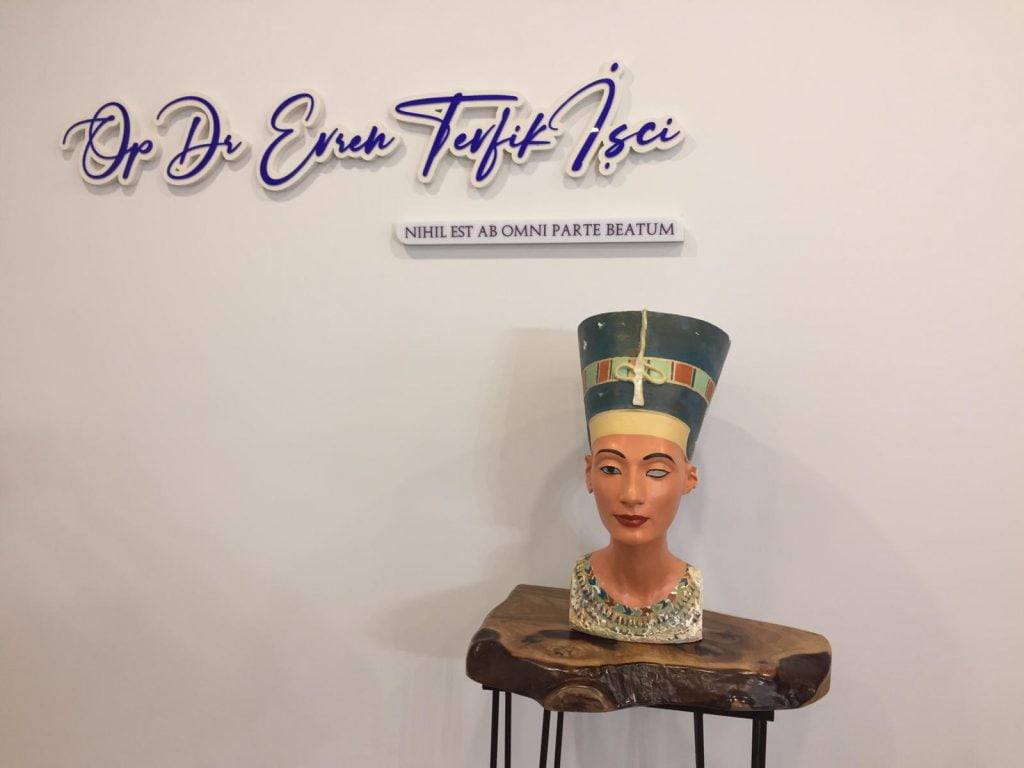 S43D Nefertiti S43D Nefertiti